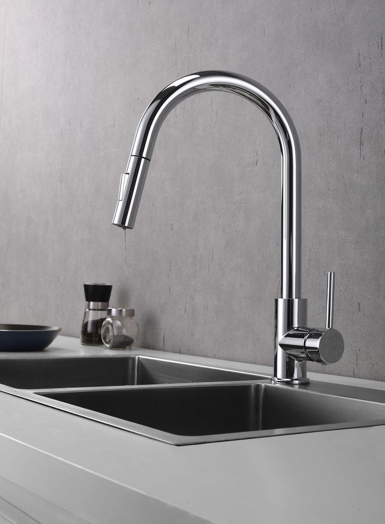 Chrome Pull Out Kitchen Faucet with Dual Spray - Modern and Practical.